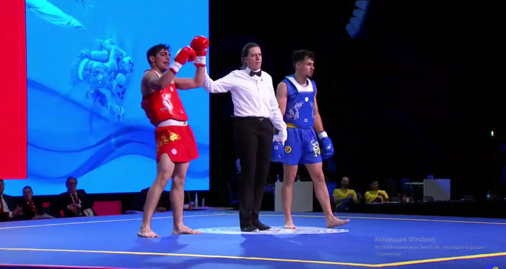 Grigor Tonikyan European Junior Wushu Champion (video)