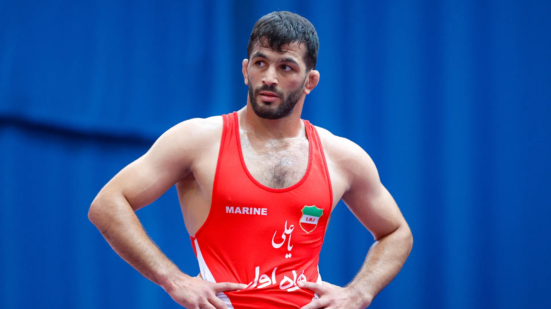 Results of the second day of the international wrestling tournament in Hungary